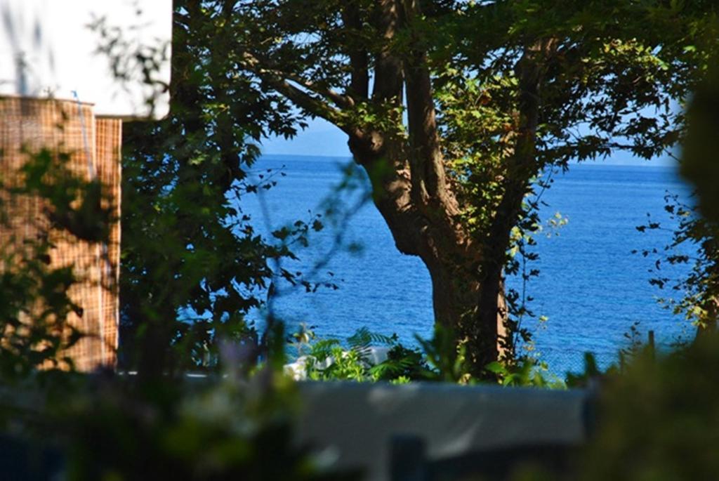 Archondissa Beach Aparthotel Therma  Eksteriør bilde
